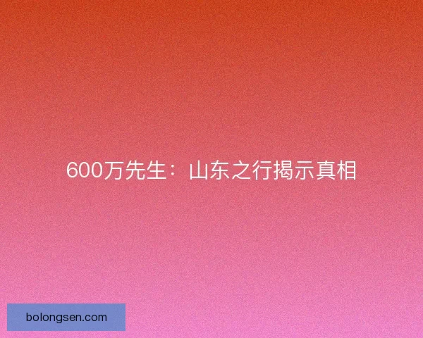 600万先生：山东之行揭示真相